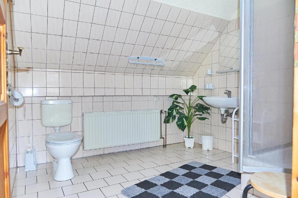 Apartamento Schwalbenhof Woellnau Doberschutz Exterior foto