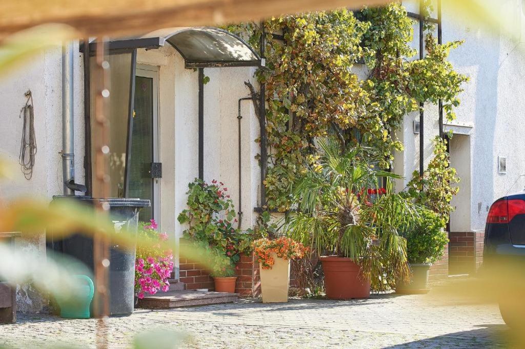 Apartamento Schwalbenhof Woellnau Doberschutz Exterior foto